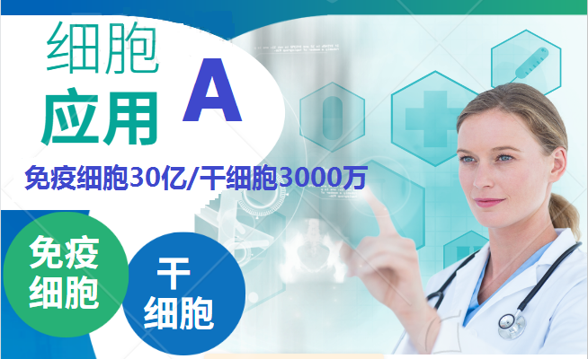 细胞应用A