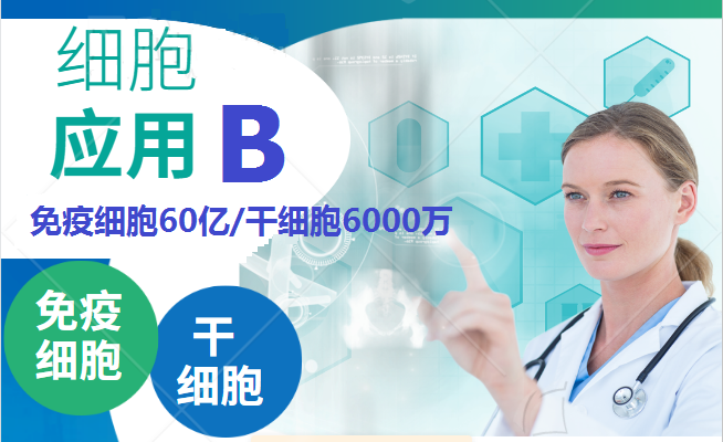 细胞应用B